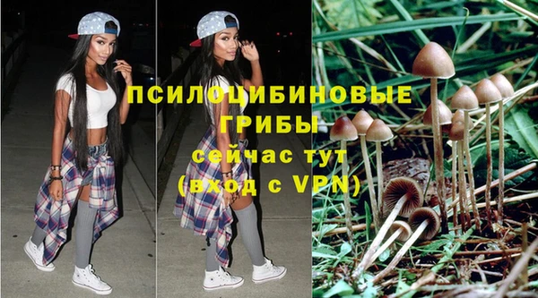 стафф Бабаево